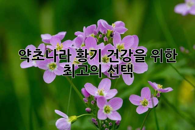약초나라 황기: 건강을 위한 최고의 선택?