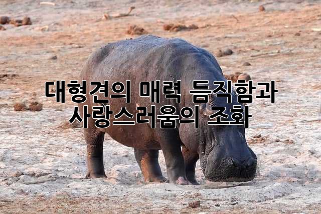 대형견의 매력: 듬직함과 사랑스러움의 조화
