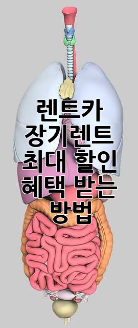 렌트카 장기렌트, 최대 할인 혜택 받는 방법!