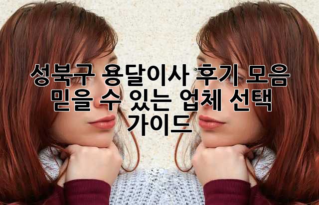성북구 용달이사 후기 모음: 믿을 수 있는 업체 선택 가이드