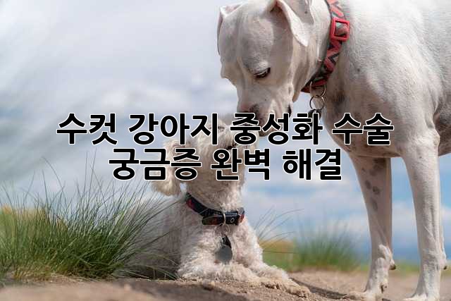 수컷 강아지 중성화 수술: 궁금증 완벽 해결!