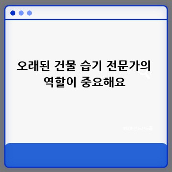 오래된 건물 습기 전문가의 역할이 중요해요