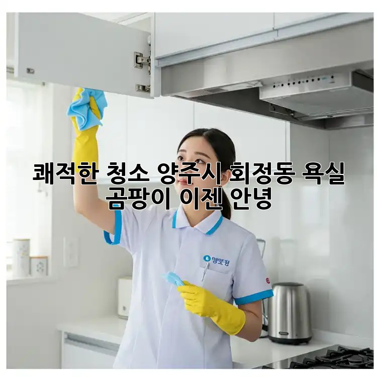 쾌적한 청소: 양주시 회정동 욕실 곰팡이, 이젠 안녕!