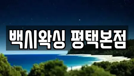 백시왁싱 평택본점