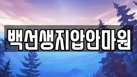 백선생지압안마원