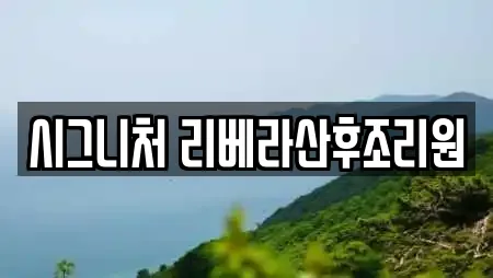 시그니처 리베라산후조리원