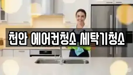 천안 에어컨청소 세탁기청소