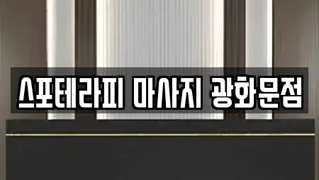 스포테라피 마사지 광화문점