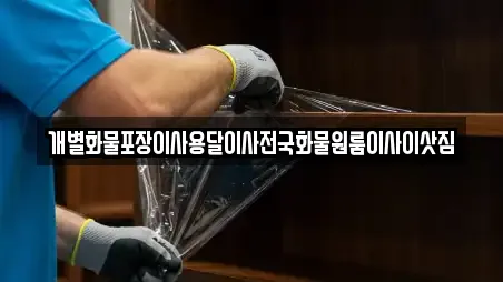 개별화물포장이사용달이사전국화물원룸이사이삿짐