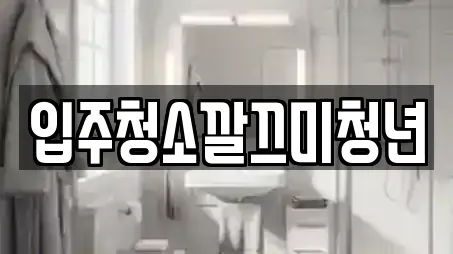 입주청소깔끄미청년