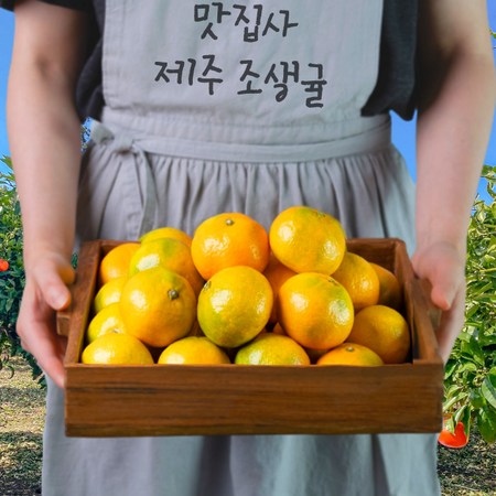 울산고집, 제대로 알고 먹고 즐기는 완벽 가이드 🛒