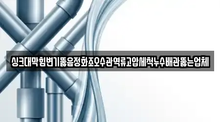 싱크대막힘변기뚫음정화조오수관역류고압세척누수배관뚫는업체