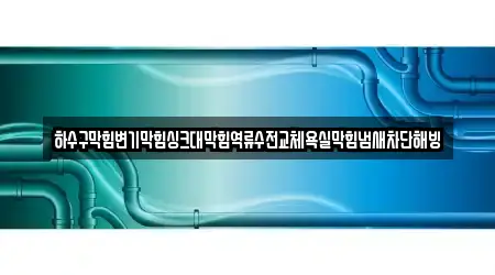 하수구막힘변기막힘싱크대막힘역류수전교체욕실막힘냄새차단해빙