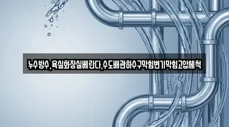 누수방수,욕실화장실베란다,수도배관하수구막힘변기막힘고압세척