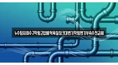 누수탐지하수구막힘고압세척욕실싱크대변기막힘변기부속수전교체