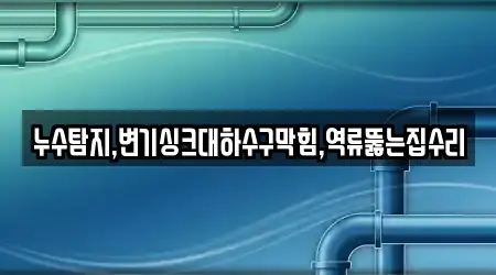 누수탐지,변기싱크대하수구막힘,역류뚫는집수리