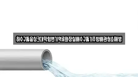 하수구뚫음싱크대막힘변기역류화장실배수구뚫기주방배관청소해빙