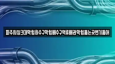 파주시싱크대막힘하수구막힘배수구역류배관막힘뚫는곳변기뚫어