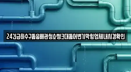 24긴급하수구뚫음배관청소씽크대뚫어변기막힘업체내시경확인
