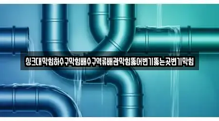 싱크대막힘하수구막힘배수구역류배관막힘뚫어변기뚫는곳변기막힘