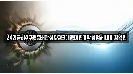 24긴급하수구뚫음배관청소씽크대뚫어변기막힘업체내시경확인