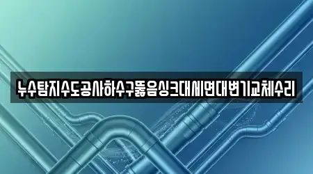 누수탐지수도공사하수구뚫음싱크대세면대변기교체수리