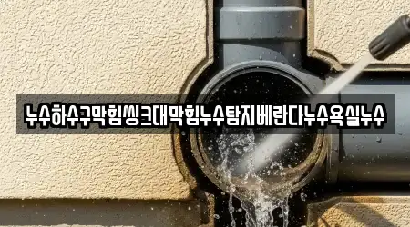 누수하수구막힘씽크대막힘누수탐지베란다누수욕실누수