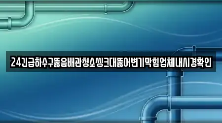 24긴급하수구뚫음배관청소씽크대뚫어변기막힘업체내시경확인