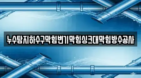 누수탐지하수구막힘변기막힘싱크대막힘방수공사