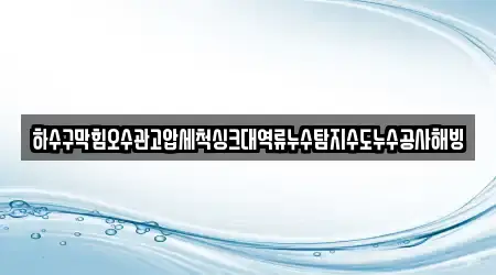 하수구막힘오수관고압세척싱크대역류누수탐지수도누수공사해빙