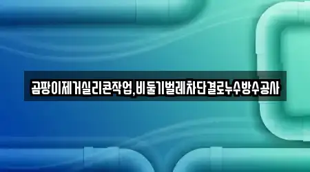 곰팡이제거실리콘작업,비둘기벌레차단결로누수방수공사