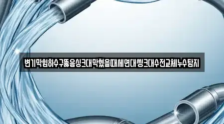 변기막힘하수구뚫음싱크대막혔을때세면대씽크대수전교체누수탐지