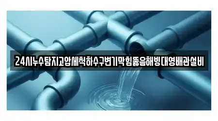 24시누수탐지고압세척하수구변기막힘뚫음해빙대영배관설비