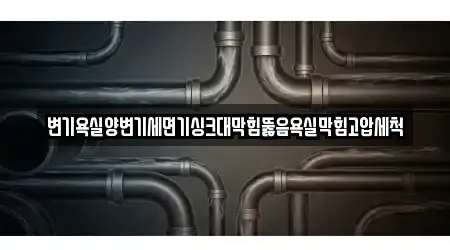 변기욕실양변기세면기싱크대막힘뚫음욕실막힘고압세척