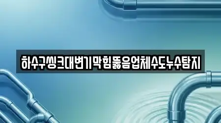 하수구씽크대변기막힘뚫음업체수도누수탐지