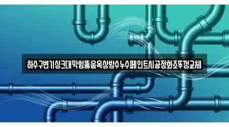 하수구변기싱크대막힘뚫음옥상방수누수페인트시공정화조뚜껑교체