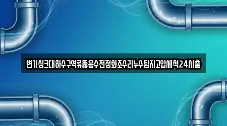 변기싱크대하수구역류뚫음수전정화조수리누수탐지고압세척24시출