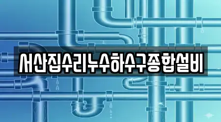 서산집수리누수하수구종합설비
