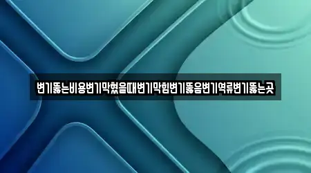변기뚫는비용변기막혔을때변기막힘변기뚫음변기역류변기뚫는곳