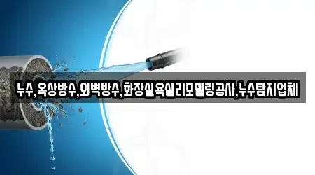 누수,옥상방수,외벽방수,화장실욕실리모델링공사,누수탐지업체