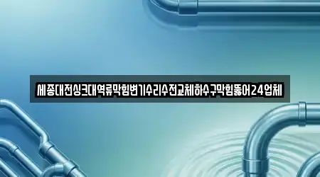 세종대전싱크대역류막힘변기수리수전교체하수구막힘뚫어24업체