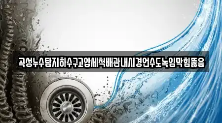 곡성누수탐지하수구고압세척배관내시경언수도녹임막힘뚫음