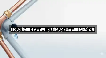배수구막혔을때배관뚫음변기막힘하수구역류뚫음뚫어배관뚫는업체