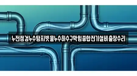 누전점검누수탐지빗물누수하수구막힘종합전기설비출장수리