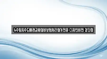 누수탐지수도배관교체설비보험처리철거전문 디자인비젼 검단점