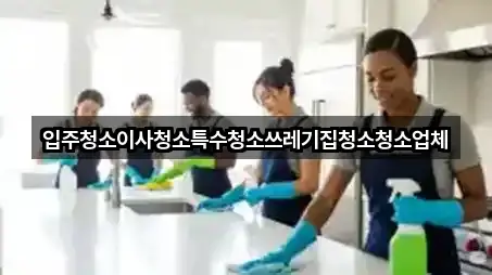 원주시 부론면 입주청소 4곳 지도 길찾기 원주시 부론면 입주청소 4곳 지도 길찾기