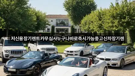 근처 추천: 신일동 장기렌트카 2곳