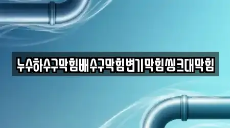 누수하수구막힘배수구막힘변기막힘씽크대막힘