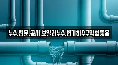 누수.전문.공사.보일러누수.변기하수구막힘뚫음