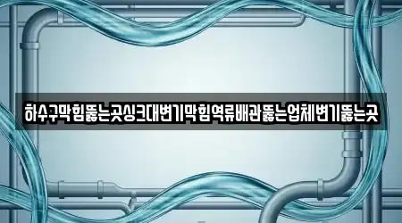 하수구막힘뚫는곳싱크대변기막힘역류배관뚫는업체변기뚫는곳